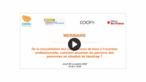 Replay webinaire : De la consolidation des compétences de base à l’insertion professionnelle, comment sécuriser les parcours des personnes en situation de handicap ?
